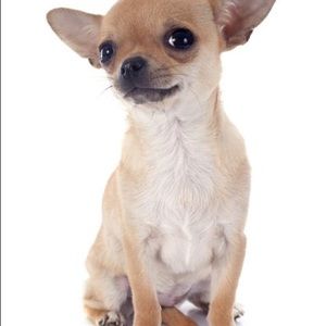 Meet your Posher, Yvette